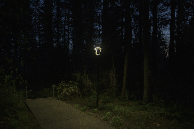 A trail light on campus on March 25, 2020.