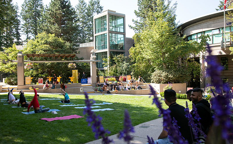 Students sitting in the Cedar Courtyard