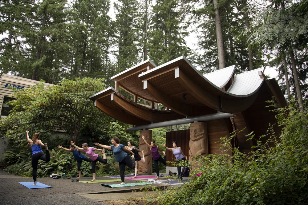 Capilano University students practicing yoga outdoors