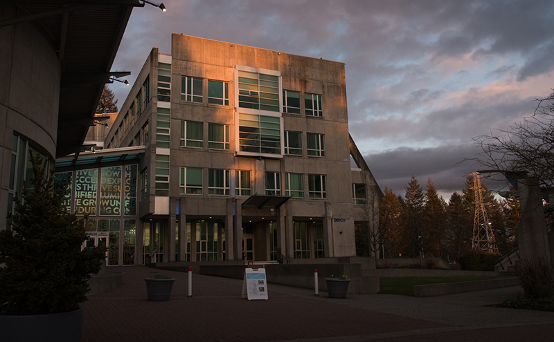 Birch Building at sunset