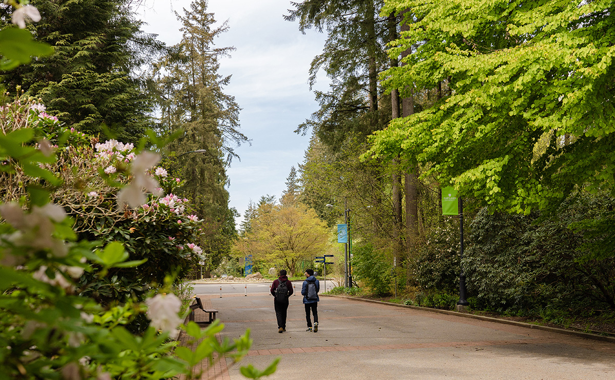 Students walking outside on campus