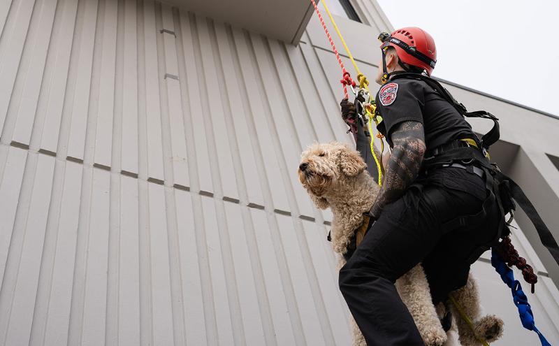 Firefighter rescuing dog demo 