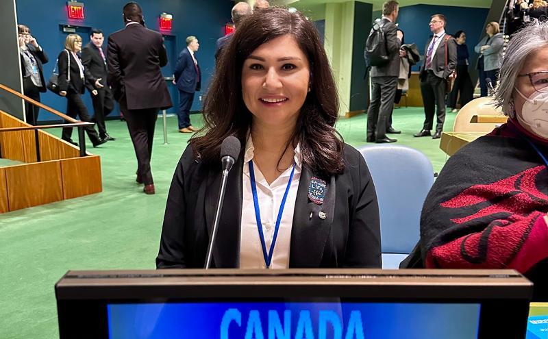 Damineh Akhavan at UN Commission
