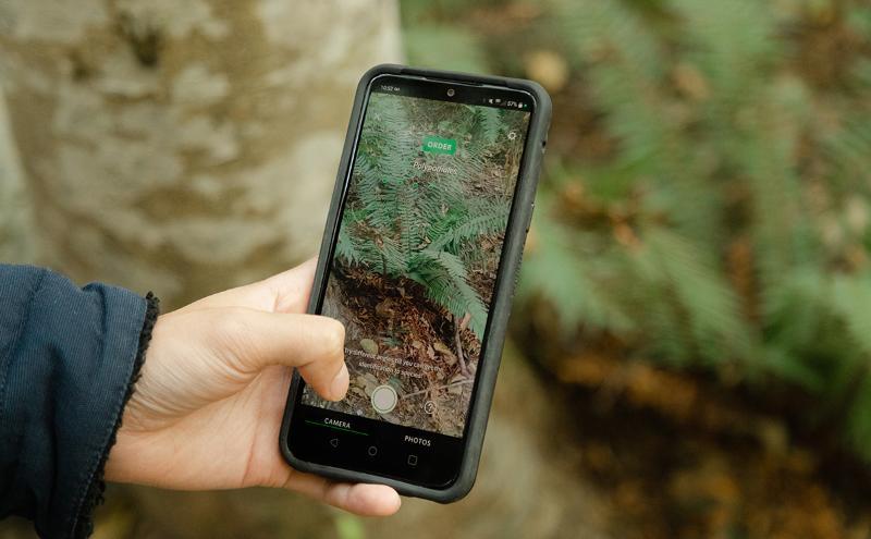 Students exploring the Átl'ka7tsem/Howe Sound Biosphere Region