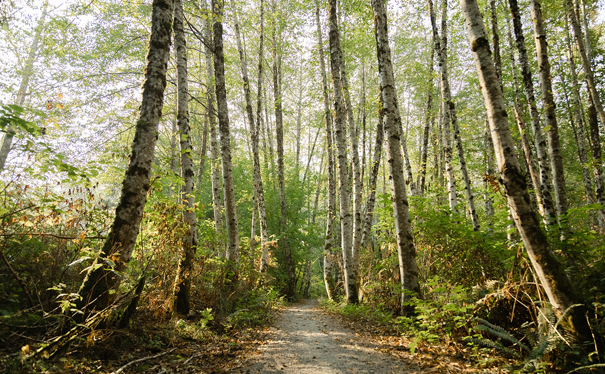 The Átl'ka7tsem/Howe Sound Biosphere Region