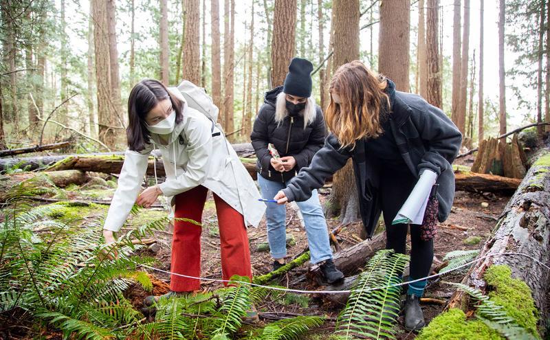 Students in the outdoors 