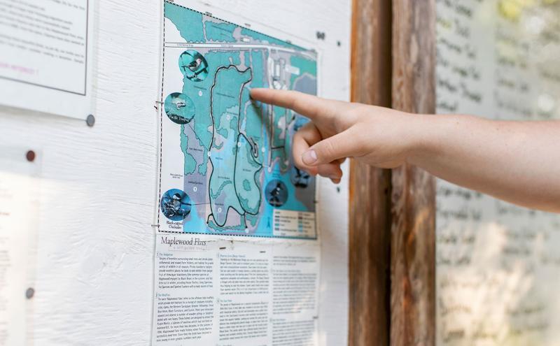 Map of Maplewood Flats wetlands