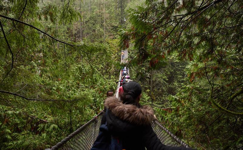 Built over 100 years ago, the Lynn Valley Suspension Bridge hangs 70 feet above the canyon—no ticket needed