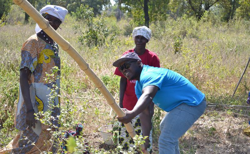 Oumar Barou Togola working