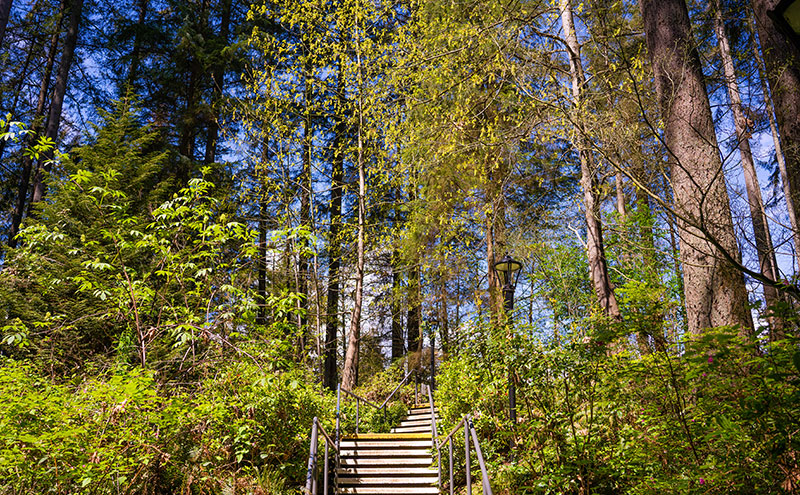 Stairs leading to Bosa Building.