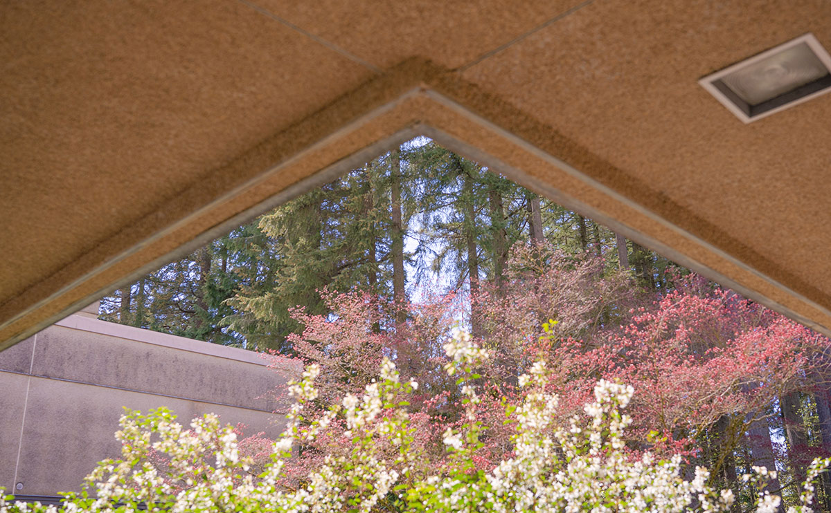 Gardens on the CapU North Vancouver campus.