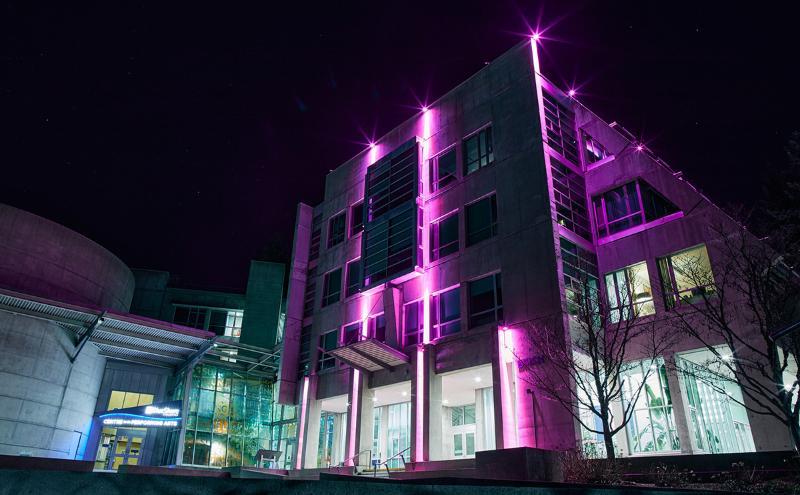 Birch Building lights in pink to commemorate Pink Shirt Day