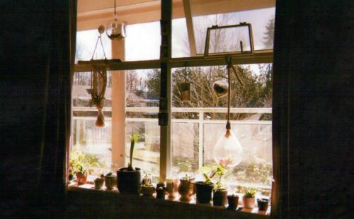 Seymour window