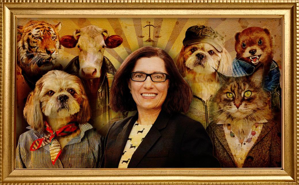 Victoria Shroff illustration with animals