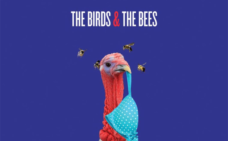 The Birds and the Bees 