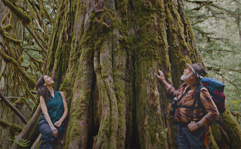 Student Volunteer Opportunity: Capilano River Regional Park – Forest Resiliency Project 2026