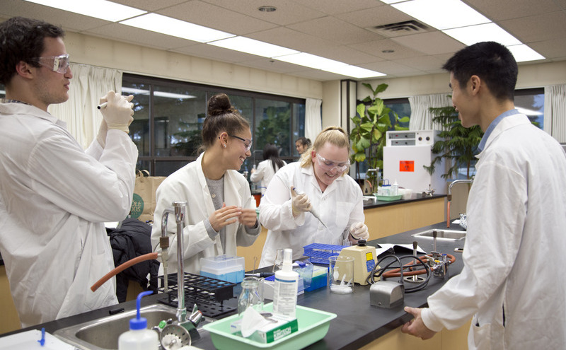 Bachelor of Science - Second Admitted Students Info Session