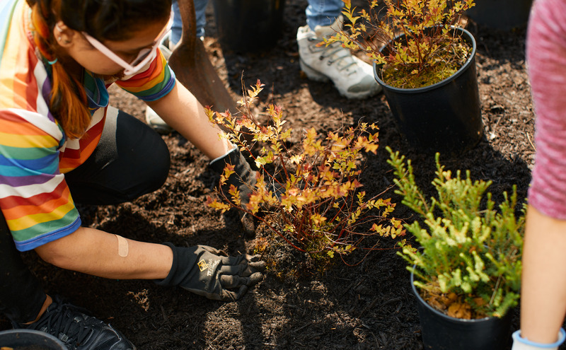 Working in the Summer Workshop for International Students - March 19 ;