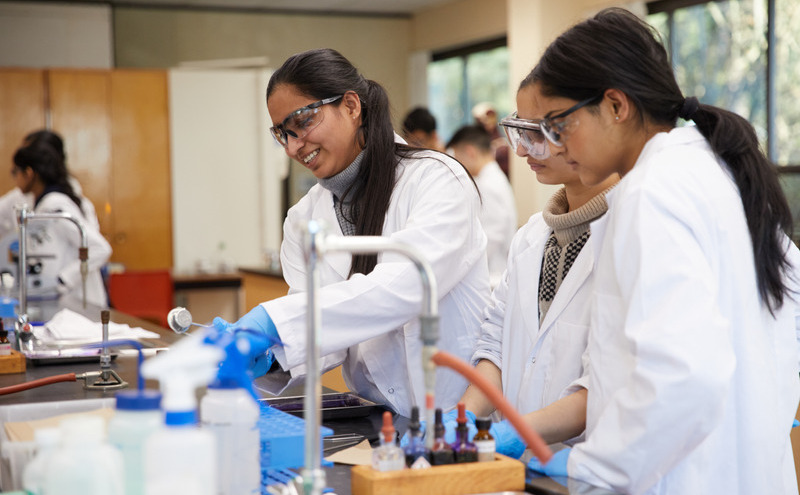Bachelor of Science Admitted Students Info Session