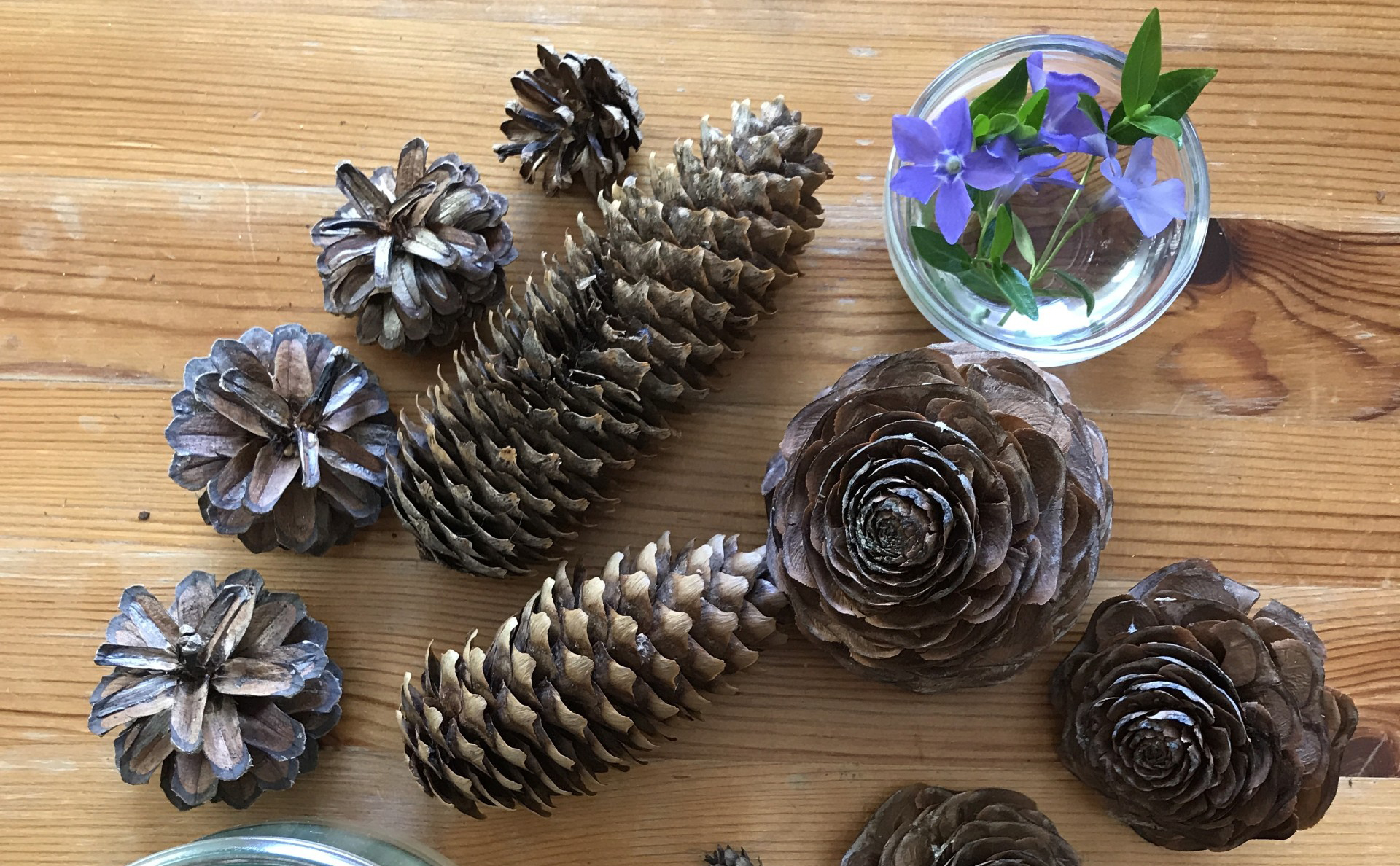 Capilano Universe: Why We Collect