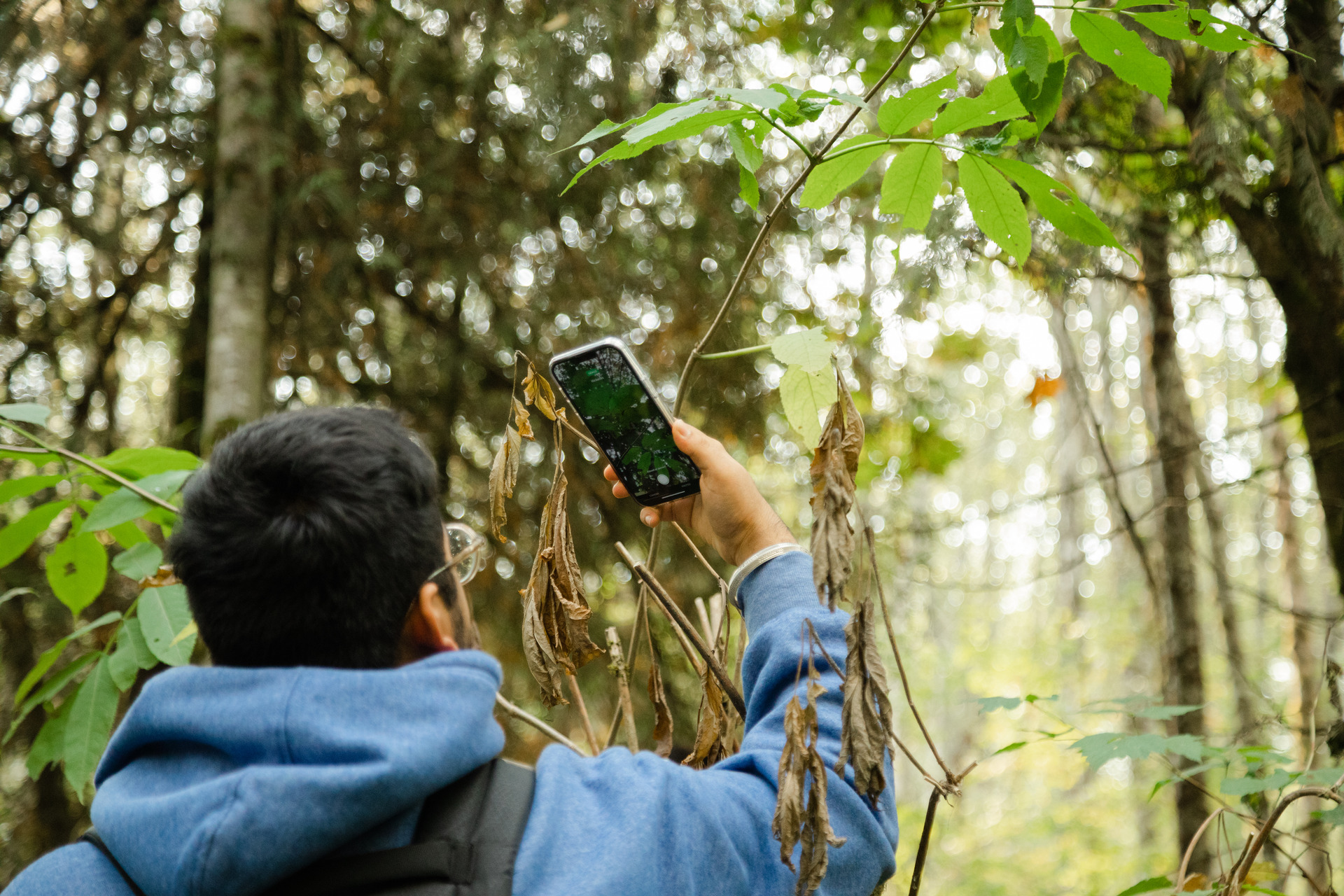 Squamish Bioblitz