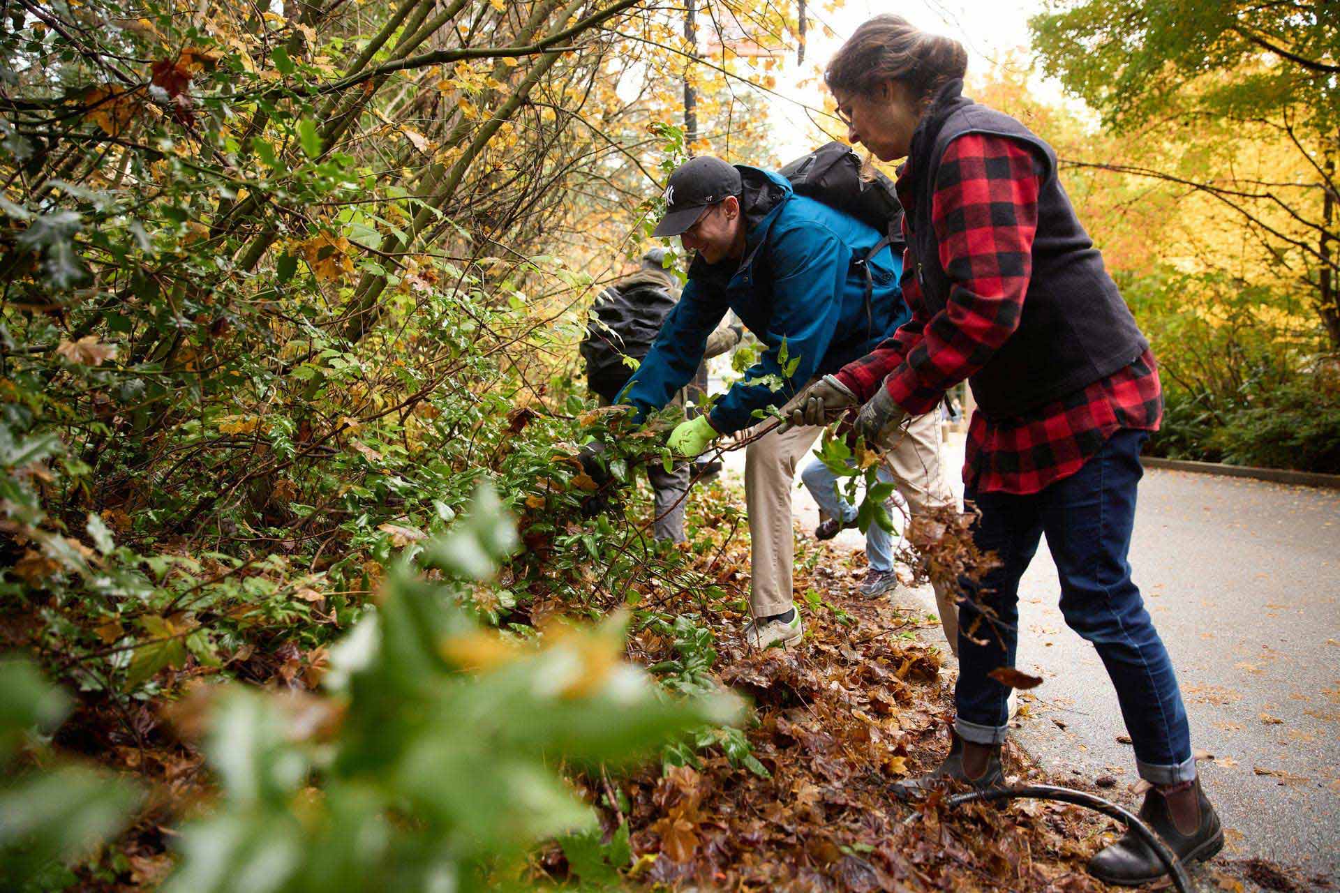 EarthWorks: Capilano River Forest Resiliency Project