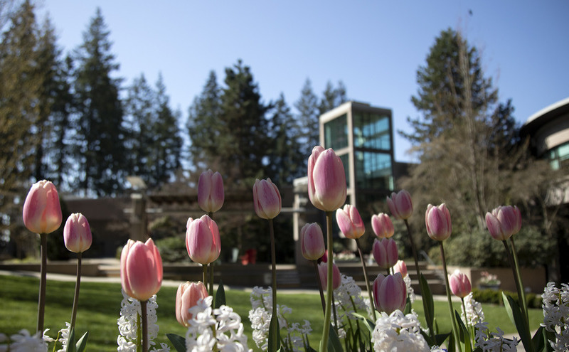 Western Canadian Linear Algebra Meeting (WCLAM) 2026;