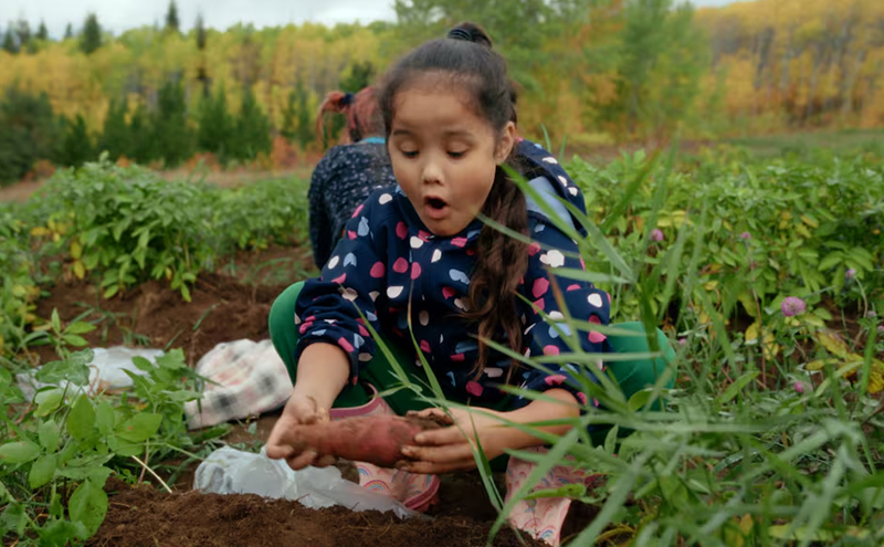 Tea Creek Documentary Screening