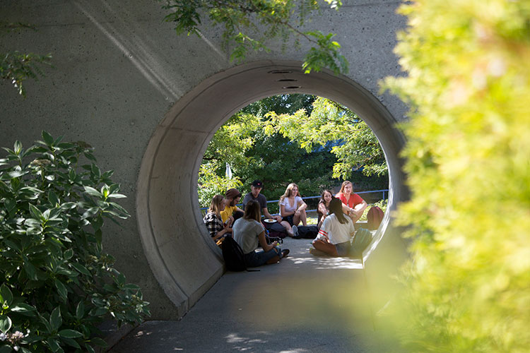 Students eat lunch at the President's Welcome BBQ on Thursday, Sept. 6, 2018.