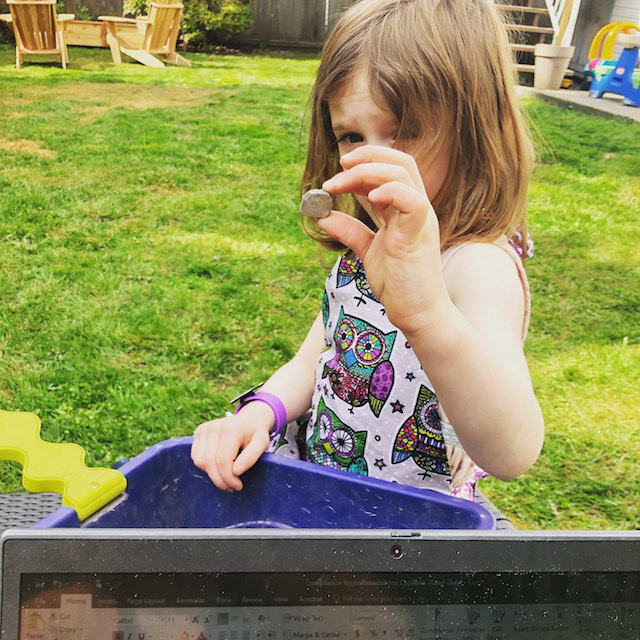 Working from home and simultaneously learning about the coolest rocks in our yard. Submitted by Sarah Hoskins.