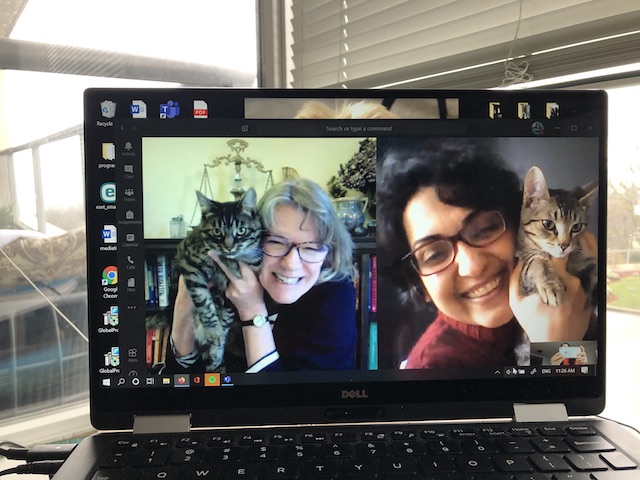 Things get “catty” during a School of Communications team meeting. Submitted by Lori Walker.