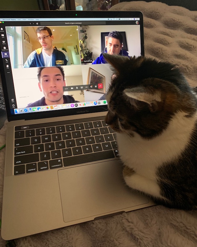 Lord Prancer joining the morning First Nations Student Services team meeting. Submitted by David Kirk.