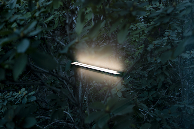 Campus on March 16, 2020. Classes were paused March 16-17 as the University transitioned to remote learning.