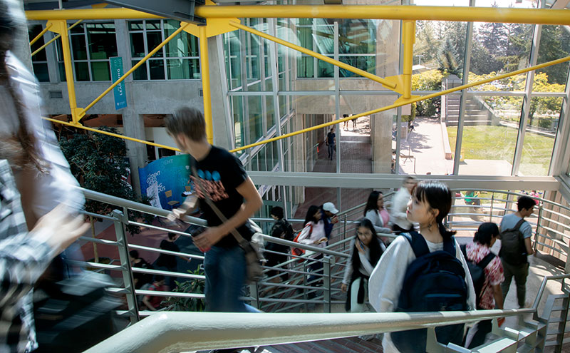 Students on the Birch Building stairs