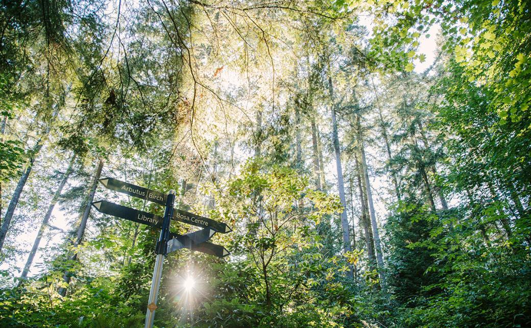 Direction signs on campus