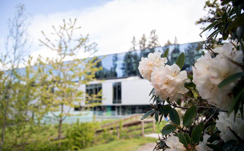 Fostering Sexual Agency and Consent Culture within the CapU Community: A Briefing for Faculty and Staff