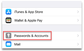Apple Settings - Passwords & Accounts