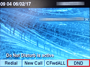 Cisco Phone DND Active