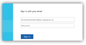 Single Sign-On fields