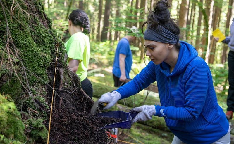 Students in Bob Muckle's Seymour Valley Archaeology Project, a summer field school, excavate a former Japanese logging site on Monday, May 27, 2019.
