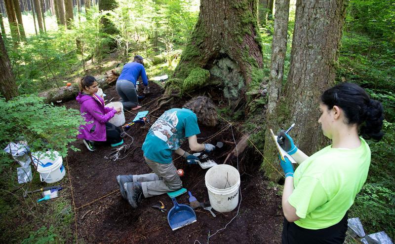 Students in the forest digging for Archaeology class