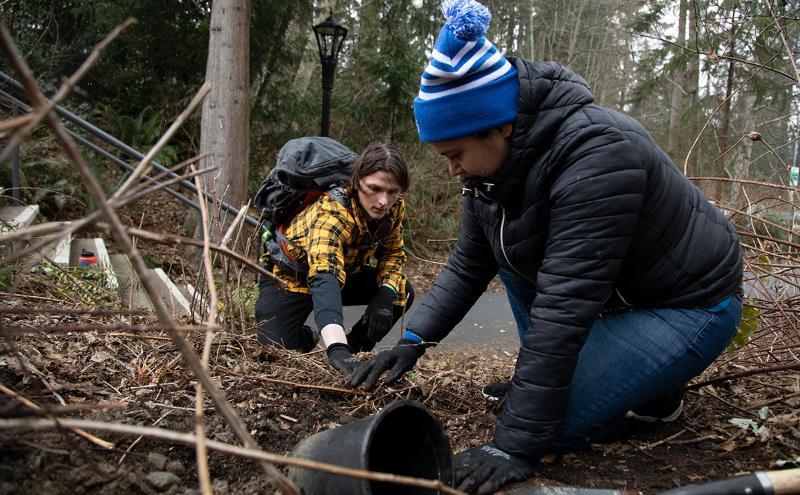 Students planting as part of First-Year Seminars