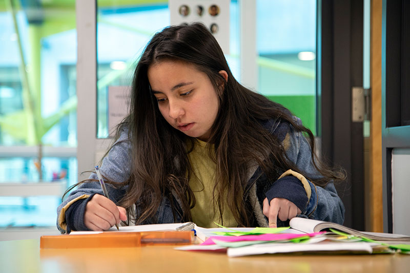 CapU student working in the Language Resource Centre.