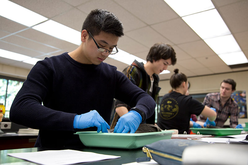 Students working in the biology lab.