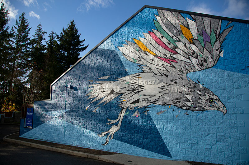 Eagle Mural at Sunshine Coast campus.