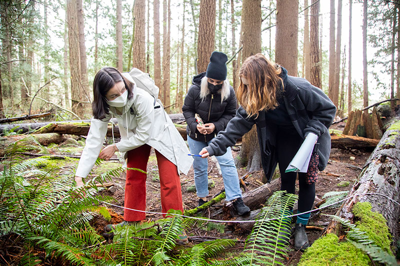 Bachelor of Science students conducting field work.
