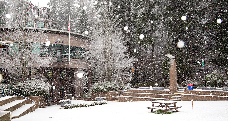 Snowfall in Cedar Courtyard