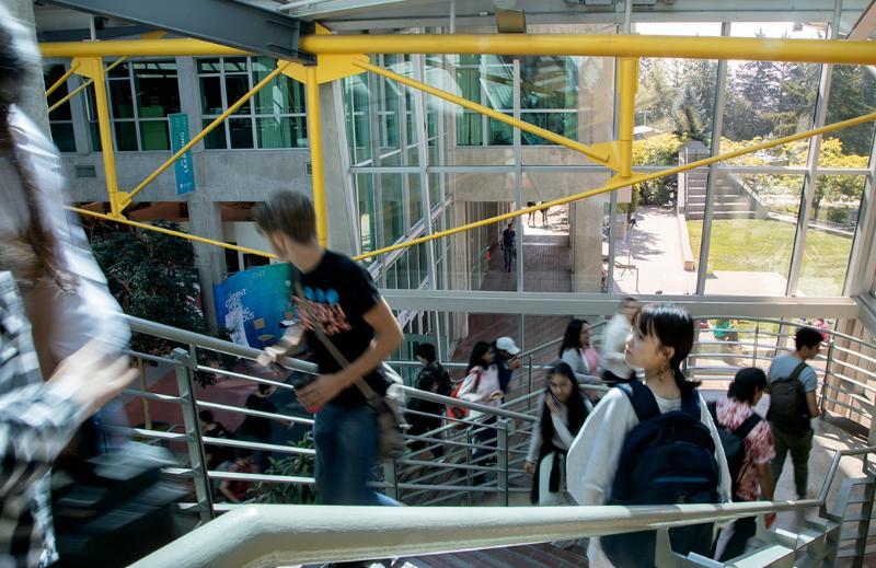 Students walking up the stairs in the Birch Building