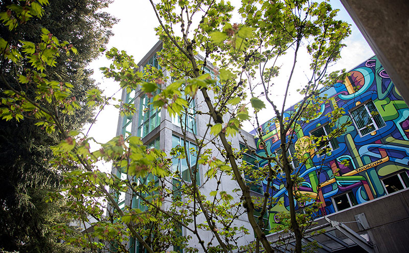 Birch Building with a mural visible on the right.