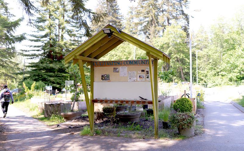 Entrance to the CapU community garden